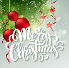 Christmas greeting card Vector illustration N13