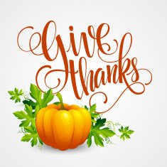 Vector pumpkin and leaves illustration