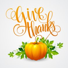 Vector pumpkin and leaves illustration N3