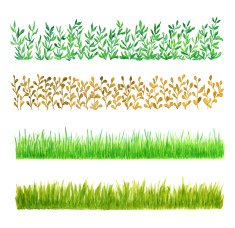 Set of Four Watercolor Grass Borders Isolated