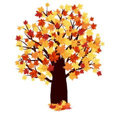 Autumn Maple Tree N4