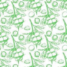 seamless green macadamia branches