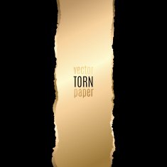 Gold and black torn paper N6
