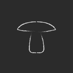 Mushroom icon drawn in chalk N4