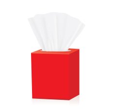 Red tissue box mock up