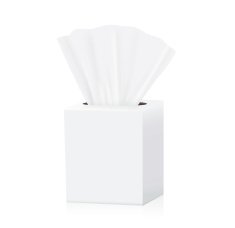 Tissue box mock up
