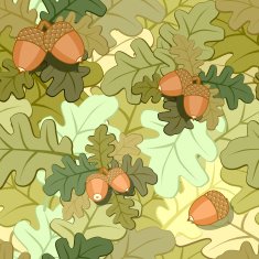oak leaves and acorns