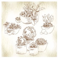 Garden elements sketch N3