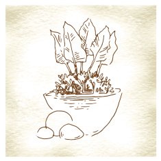 Garden elements sketch N5