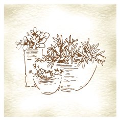 Garden elements sketch N6