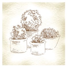 Garden elements sketch N7