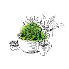 Garden elements sketch N8