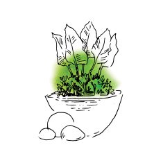 Garden elements sketch N9