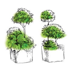 Garden elements sketch N12