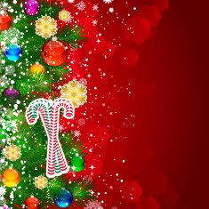 Christmas background with tree branches N4