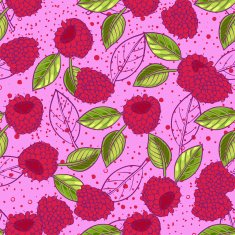 raspberries in doodle N2