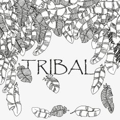 Feathers frame Hand-drawn tribal N2