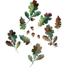 set of autumn leaves