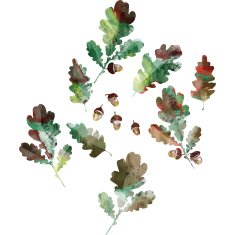 set of autumn leaves N3