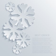 Vector modern snowflakes light background N3