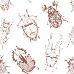 Nice beetles vector pattern N4