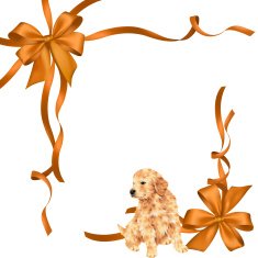 dog and ribbon illustration N16