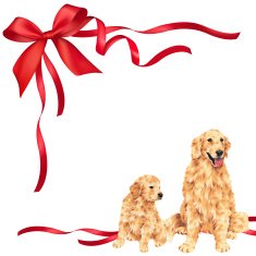 dog and ribbon illustration N24