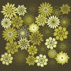 Flower Design Elements Background