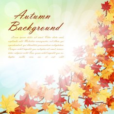 Autumn Frame N11
