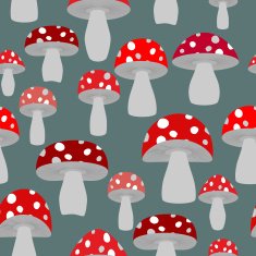Mushroom seamless pattern Vector background of fly agaric Vint