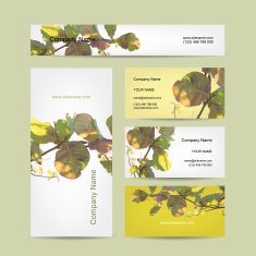 Business cards design abstract leaf background
