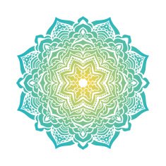 Vector mandala ornament N51