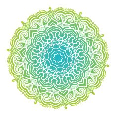 Vector mandala ornament N53