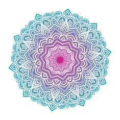 Vector mandala ornament N54