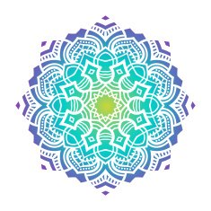 Vector mandala ornament N55