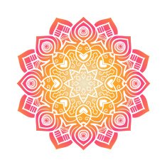 Vector mandala ornament N58