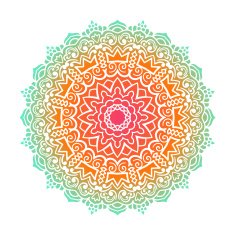 Vector mandala ornament N60