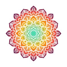 Vector mandala ornament N61