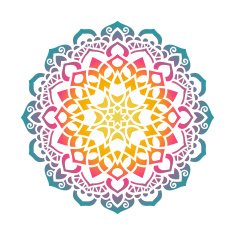 Vector mandala ornament N66