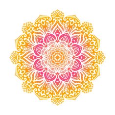 Vector mandala ornament N67