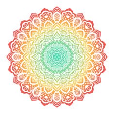 Vector mandala ornament N68