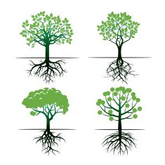 Set of Green Trees and Roots