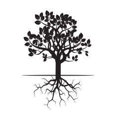 Black Tree and Roots Vector Illustration N3