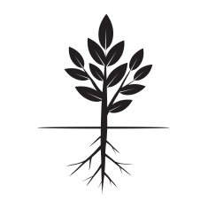 Tree and Roots Vector Illustration N7