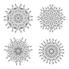 Set of floral circle ornament