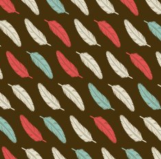 Ethnic pattern with Feathers