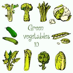 Hand drawn set of green vegetables