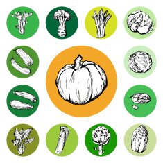 Hand drawn set of green vegetables and pimpkin