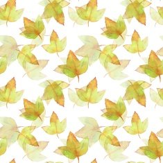 Autumn leaves Watercolor floral background 3 N2