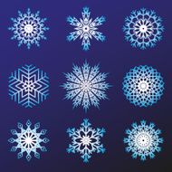 Set of snowflakes vector